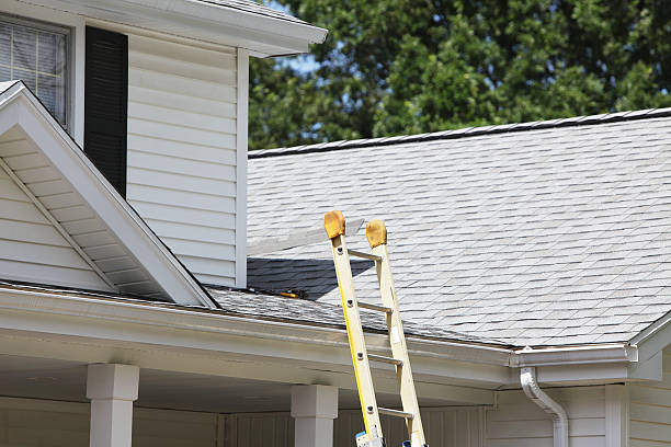 Siding Removal and Disposal